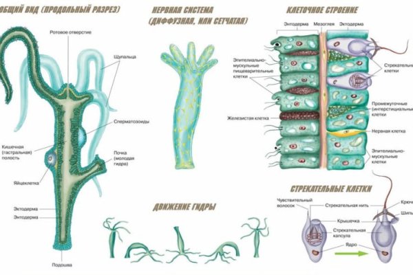 Кракен магазин krakens13 at