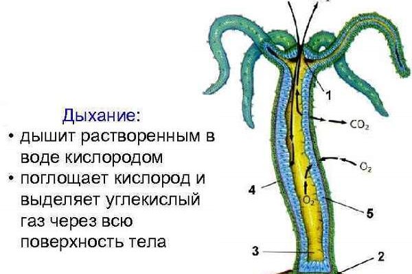 Нарко маркетплейс